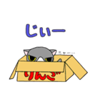 鉢割れはっちゃんの日常（個別スタンプ：38）