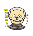 Nagging LABULA（個別スタンプ：36）