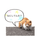 conversation picture（個別スタンプ：1）