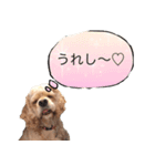 conversation picture（個別スタンプ：2）