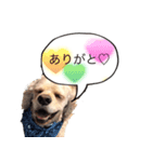 conversation picture（個別スタンプ：4）