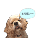conversation picture（個別スタンプ：5）