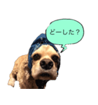 conversation picture（個別スタンプ：7）