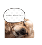 conversation picture（個別スタンプ：8）