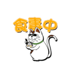 オリにゃん その3（個別スタンプ：12）
