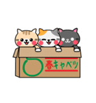 めっちゃ動く！箱猫スタンプ（個別スタンプ：9）