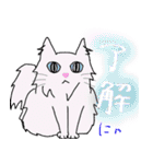 白猫の日常(長毛猫)（個別スタンプ：5）