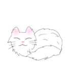 白猫の日常(長毛猫)（個別スタンプ：9）