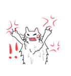 白猫の日常(長毛猫)（個別スタンプ：11）