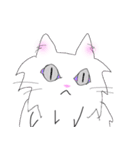 白猫の日常(長毛猫)（個別スタンプ：12）