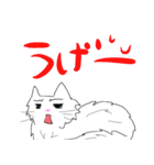 白猫の日常(長毛猫)（個別スタンプ：14）