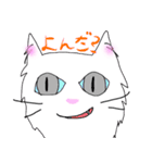 白猫の日常(長毛猫)（個別スタンプ：19）