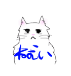 白猫の日常(長毛猫)（個別スタンプ：23）