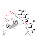 白猫の日常(長毛猫)（個別スタンプ：24）