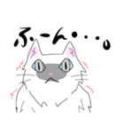 白猫の日常(長毛猫)（個別スタンプ：26）