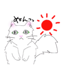 白猫の日常(長毛猫)（個別スタンプ：27）