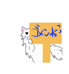 白猫の日常(長毛猫)（個別スタンプ：29）