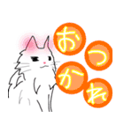 白猫の日常(長毛猫)（個別スタンプ：31）