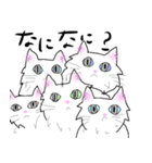 白猫の日常(長毛猫)（個別スタンプ：34）