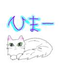 白猫の日常(長毛猫)（個別スタンプ：37）