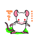 しろねずみな毎日。（個別スタンプ：8）