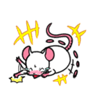 しろねずみな毎日。（個別スタンプ：13）