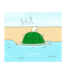 Cute little turtle（個別スタンプ：1）