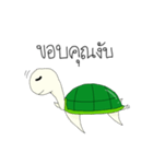 Cute little turtle（個別スタンプ：13）