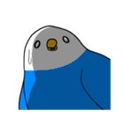 たまにトリじゃないトリ（個別スタンプ：34）