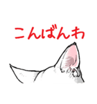 白猫さんの猫耳スタンプ（個別スタンプ：4）