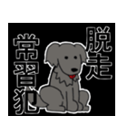 私のやべぇ家族（個別スタンプ：15）