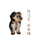 yumi family（個別スタンプ：5）