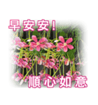 Flower Story (blessing greeting)（個別スタンプ：5）