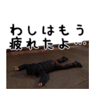 鉄平の実写スタンプ2（個別スタンプ：14）