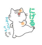 ウザかわ猫ぷくちゃん（個別スタンプ：27）
