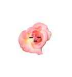 バラの花です（個別スタンプ：4）