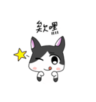 Cat MeiMei2（個別スタンプ：1）