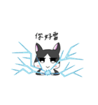 Cat MeiMei2（個別スタンプ：9）