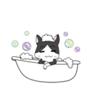 Cat MeiMei2（個別スタンプ：11）