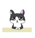 Cat MeiMei2（個別スタンプ：29）