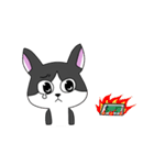 Cat MeiMei2（個別スタンプ：31）