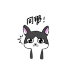 Cat MeiMei2（個別スタンプ：36）