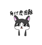 Cat MeiMei2（個別スタンプ：37）
