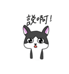 Cat MeiMei2（個別スタンプ：38）