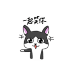 Cat MeiMei2（個別スタンプ：40）