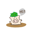 Toto pig（個別スタンプ：1）