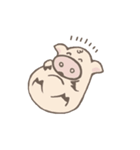 Toto pig（個別スタンプ：5）
