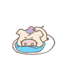 Toto pig（個別スタンプ：9）