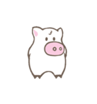 Toto pig（個別スタンプ：11）