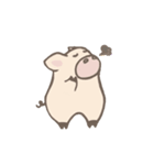 Toto pig（個別スタンプ：12）